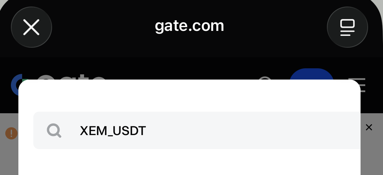 Gateの履歴データ検索でXEM_USDTを検索したものの対象データを取得できなかった画面